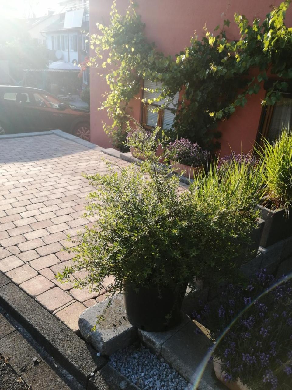 Haus Meersburg Rebe Exterior foto